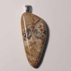 Petrified Wood